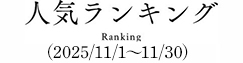 人気ランキング