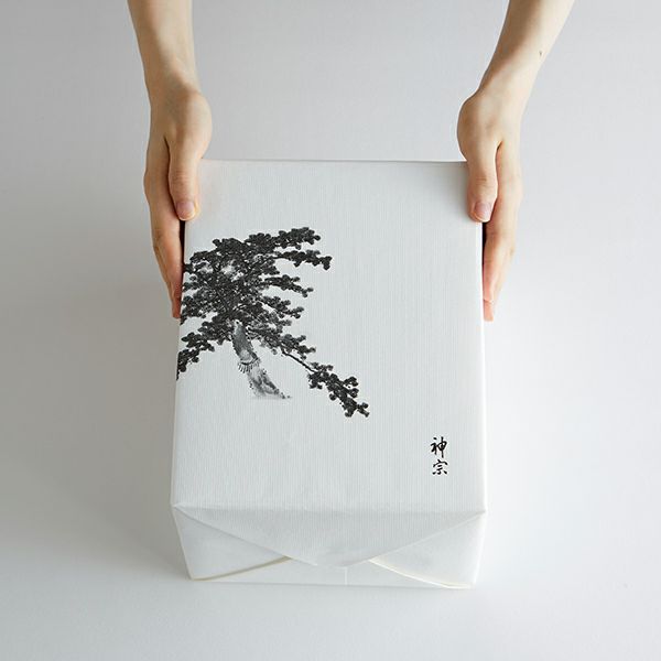 6個包装　サイズイメージ