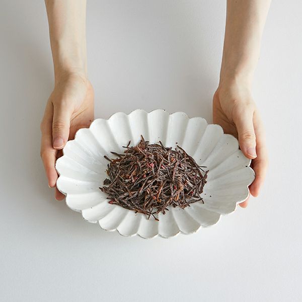 内容量サイズイメージ