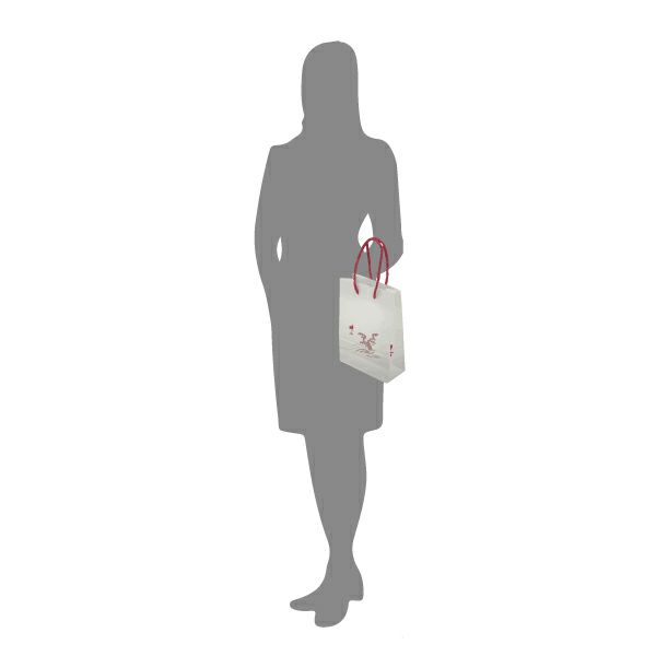 手提げ(慶事用)サイズイメージ